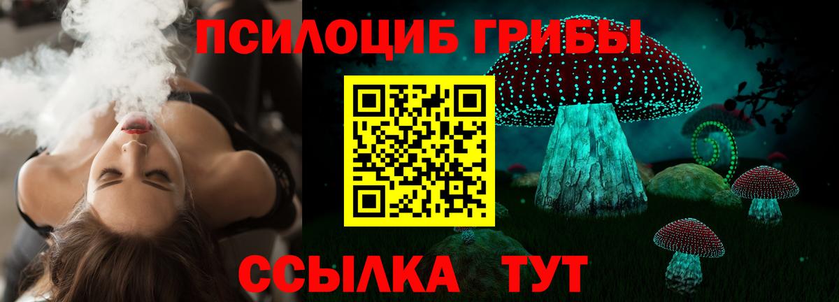 Александров  Псилоцибиновые грибы Cubensis  Вход с VPN 